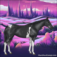 Horse Color:Black Tobiano 