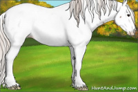Horse Color:Silver Brown Dun Appaloosa 