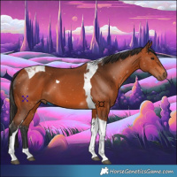 Horse Color:Bay Tobiano 