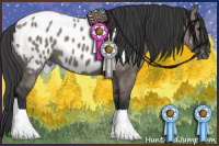 Horse Color:Grullo Appaloosa 