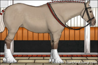 Horse Color:Silver Grullo Appaloosa 
