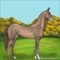 Horse Color:Black Pearl 