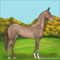Horse Color:Black Pearl 