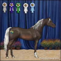 Horse Color:Liver Chestnut Mushroom 
