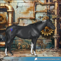 Horse Color:Black Tobiano