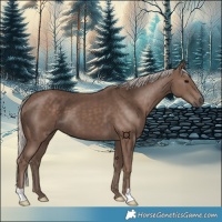 Horse Color:Silver Black 