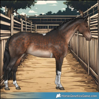 Horse Color:Brown Tobiano Rabicano 