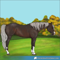 Horse Color:Silver Brown