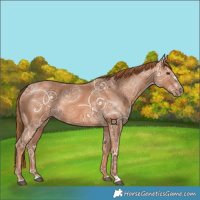 Horse Color:Chestnut Ice 