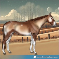 Horse Color:Red Onyx Tobiano 