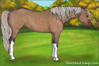Horse Color:Silver Brown Dun 