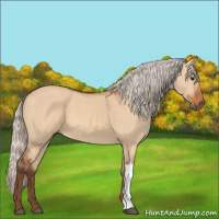 Horse Color:Silver Bay Dun 