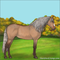 Horse Color:Silver Bay Dun 