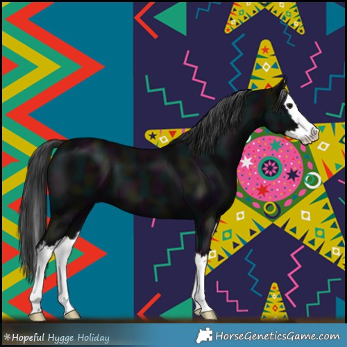 Horse Color:Midnight Black Splash 