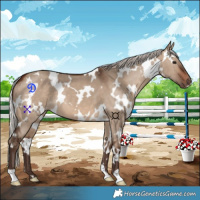 Horse Color:White Spotted Silver Brown Dun