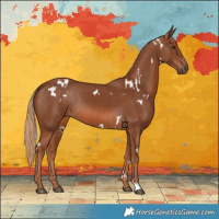 Horse Color:White Spotted Chestnut 