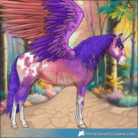 Horse Color:Watercolor Brown Onyx Appaloosa 