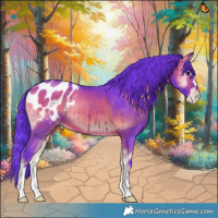 Horse Color:Watercolor Brown Onyx Appaloosa 