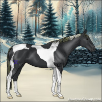 Horse Color:Painted Black Tobiano