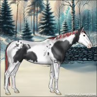 Horse Color:Painted Black Splash Tobiano
