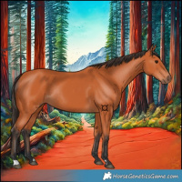 Horse Color:Bay Rabicano 