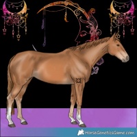 Horse Color:Chestnut Tobiano 