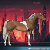 Horse Color:Chocolate Palomino Tobiano 