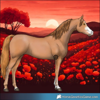 Horse Color:Chestnut Sabino 