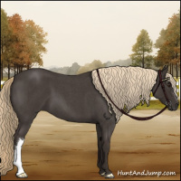Horse Color:Liver Red Roan 