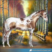Horse Color:Red Onyx Splash Tobiano 