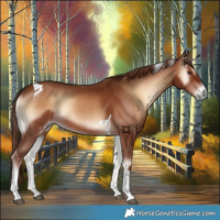 Horse Color:Red Onyx Tobiano 