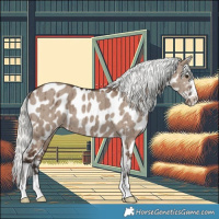 Horse Color:Liver Red Dun Mushroom Near Leopard Brindle 