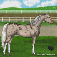 Horse Color:Liver Red Dun Mushroom Brindle 