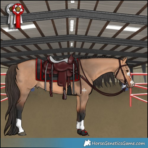 DF SH 19003408 | HuntAndJump.com