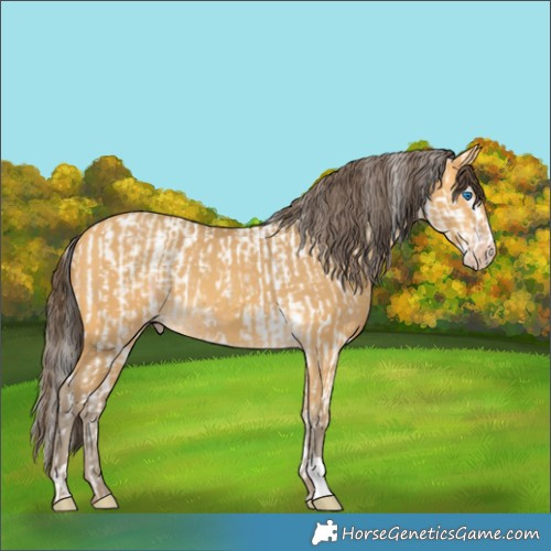 Horse Color:Amber Champagne Splash Tobiano  and Amber Cream Champagne 