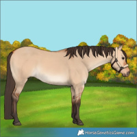 Horse Color:Bay Dun
