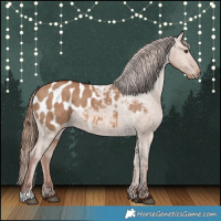 Horse Color:Red Dun Appaloosa Brindle 