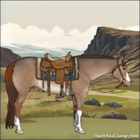 Horse Color:Liver Red Dun 