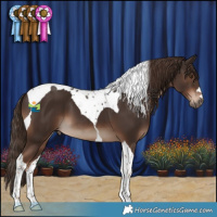 Horse Color:Liver Chestnut Tobiano 