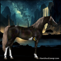 Horse Color:Midnight Chocolate Palomino Ice Sabino Tobiano 