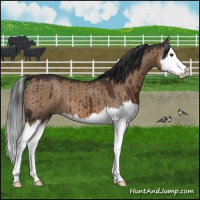 Horse Color:Liver Red Dun Splash Brindle 