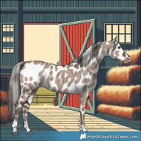 Horse Color:Liver Red Dun Mushroom Appaloosa Brindle 