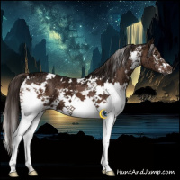 Horse Color:White Spotted Liver Chestnut Ice 