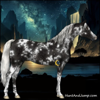 Horse Color:White Spotted Liver Chestnut Ice Mushroom 