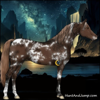 Horse Color:White Spotted Liver Chestnut Ice Sabino 
