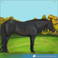 Horse Color:Brown 