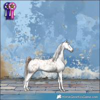 Horse Color:Liver Red Dun Pearl Appaloosa Brindle