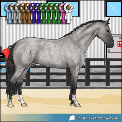 Horse Color:Smoky Grullo Roan 
