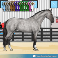 Horse Color:Smoky Grullo Roan 