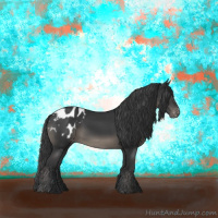 Horse Color:Black Appaloosa 
